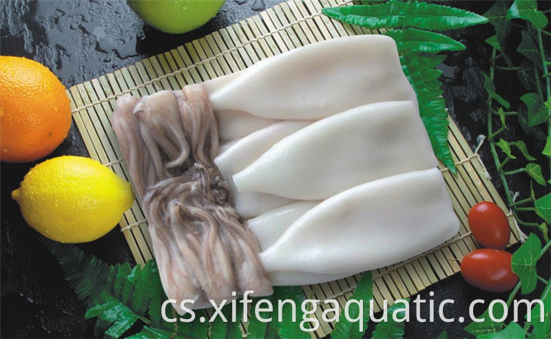 Squid Tube A Chapadlo Squid Tube And Tentacle